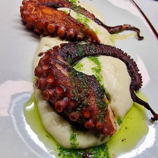 pulpo